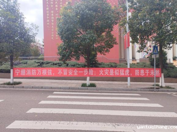 图片6